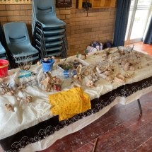 126320318_170323144767918_166268430775180964_n 126320318_170323144767918_166268430775180964_n